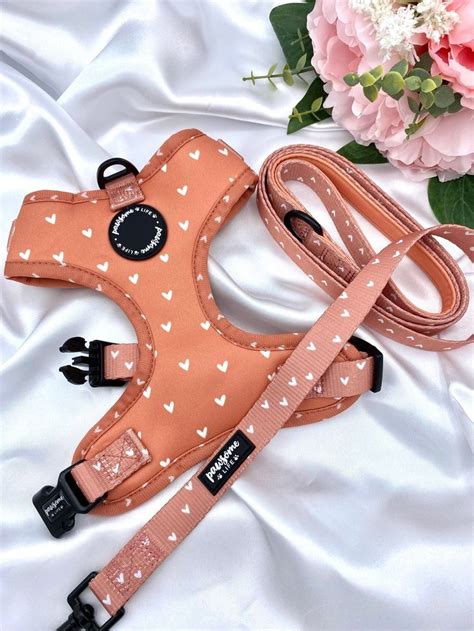 harness cute|cute dog harness.